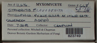 Image Associated With the Occurence